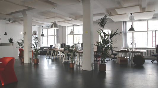 Where to Properly Display Labor Law Posters in the Workplace