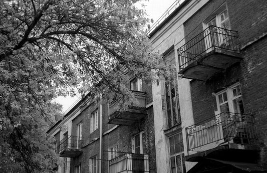 How Workplace Posters Support Compliance With Family Leave Laws