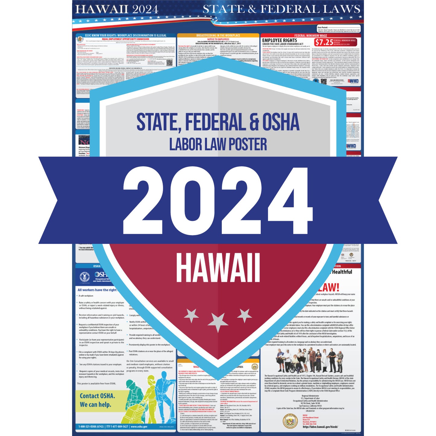 Hawaii 2024 Labor Law Poster
