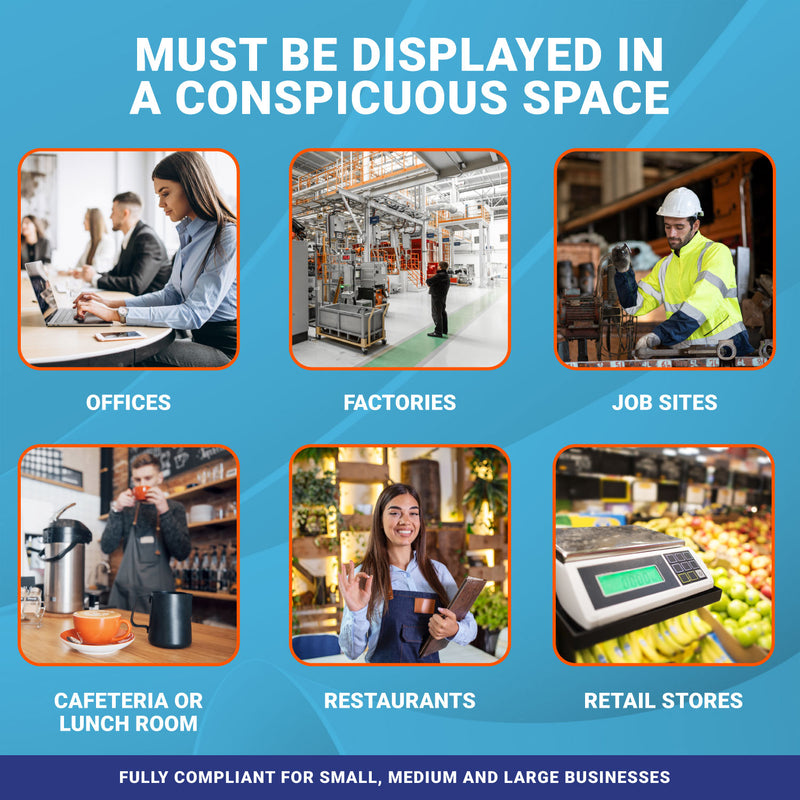 Florida 2025 State & Labor Law Poster - State Labor Poster